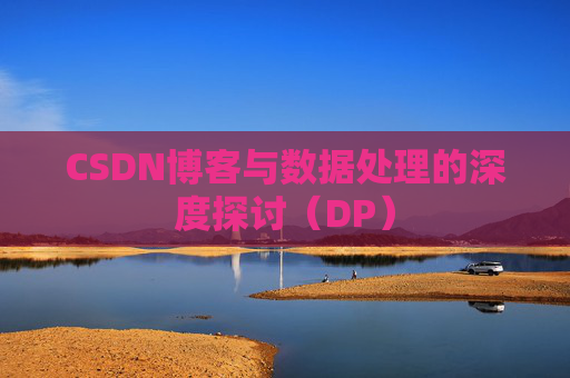 CSDN博客与数据处理的深度探讨（DP）